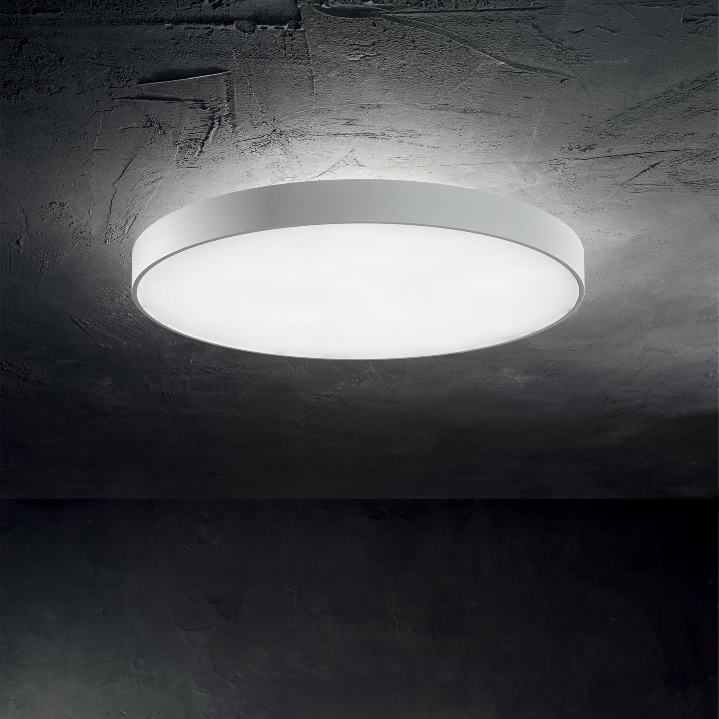 Halo pl d35
