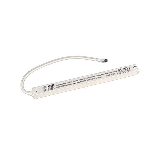 KGP 48V EVG LV100W48VDC
