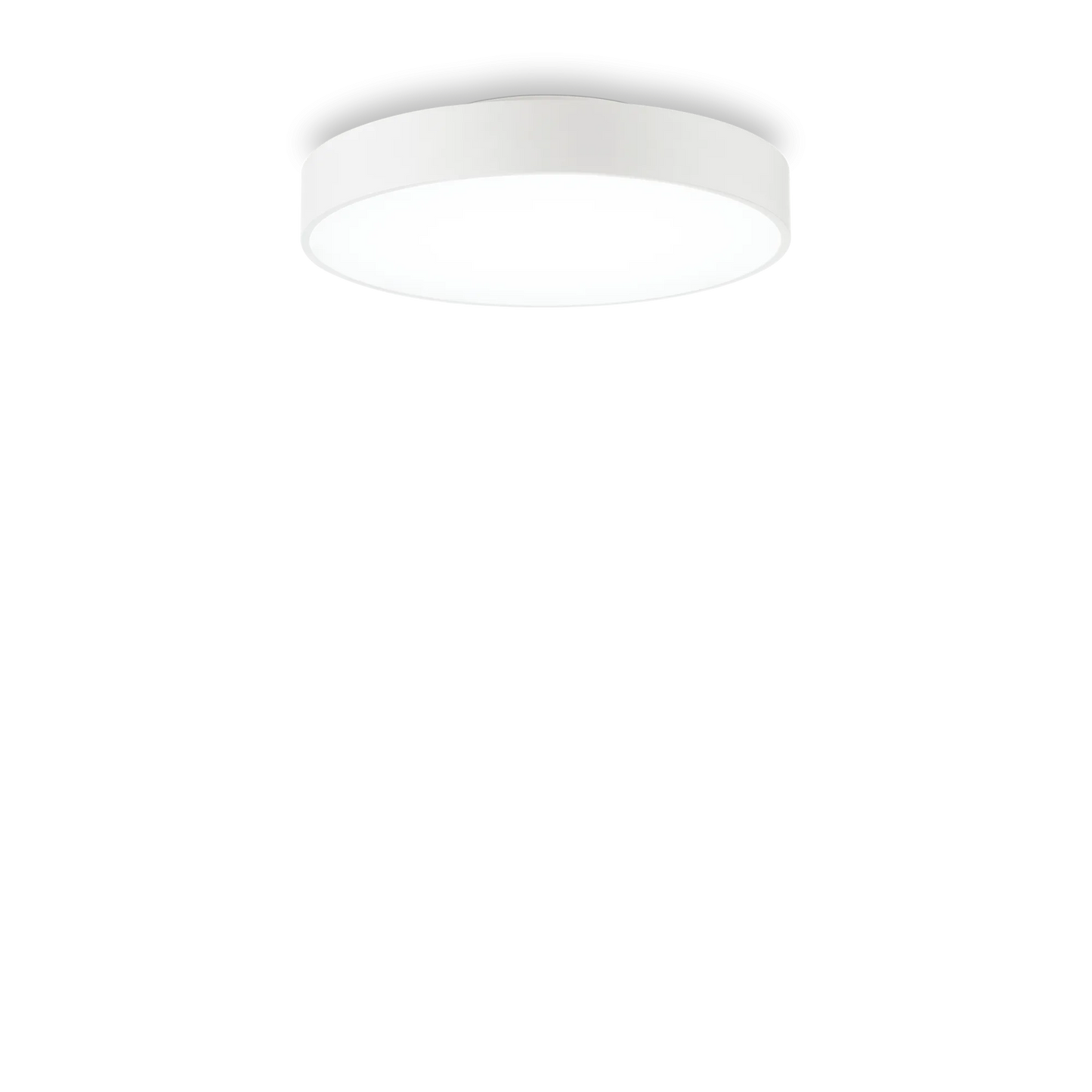 Halo pl d35