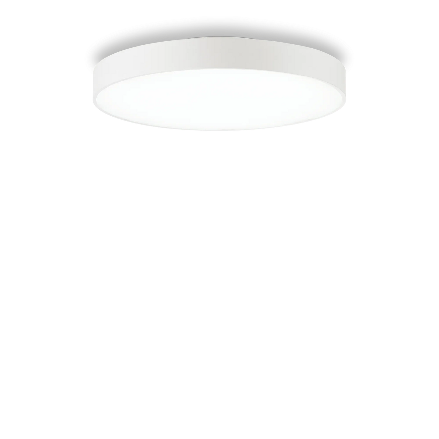 Halo pl d45