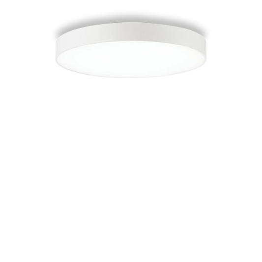 Halo pl d45