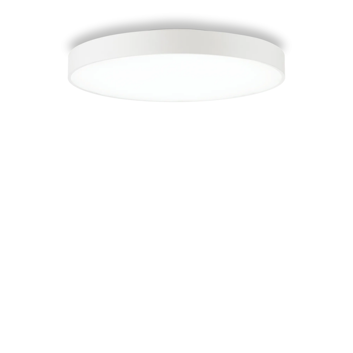 Halo pl d60