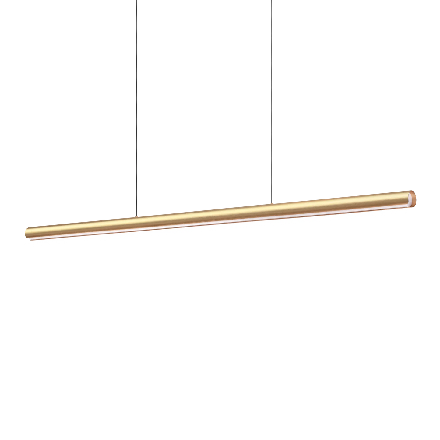 Dorica sp1 d45