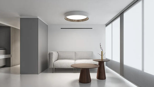 Duo Petra 4873 Vibia Duo-Deckenleuchte Graphit und Creme, zweifarbiges Lichtmodul