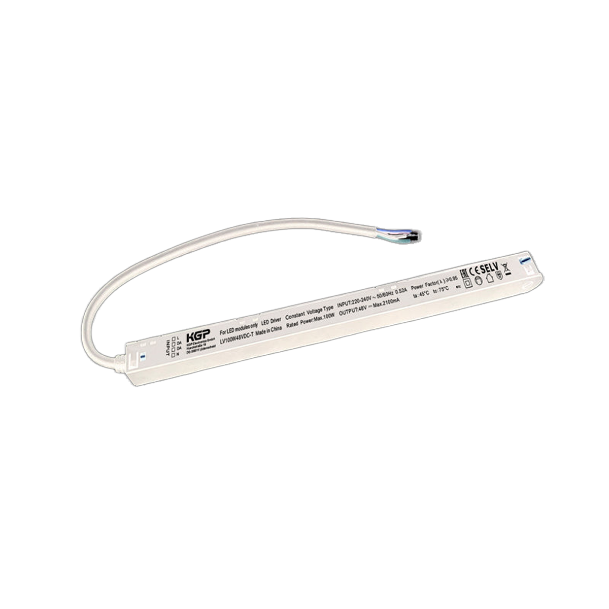 KGP 48V EVG LV100W48VDC