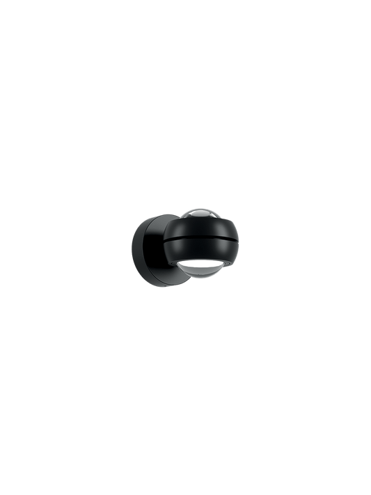 Nautilus Wall Mini