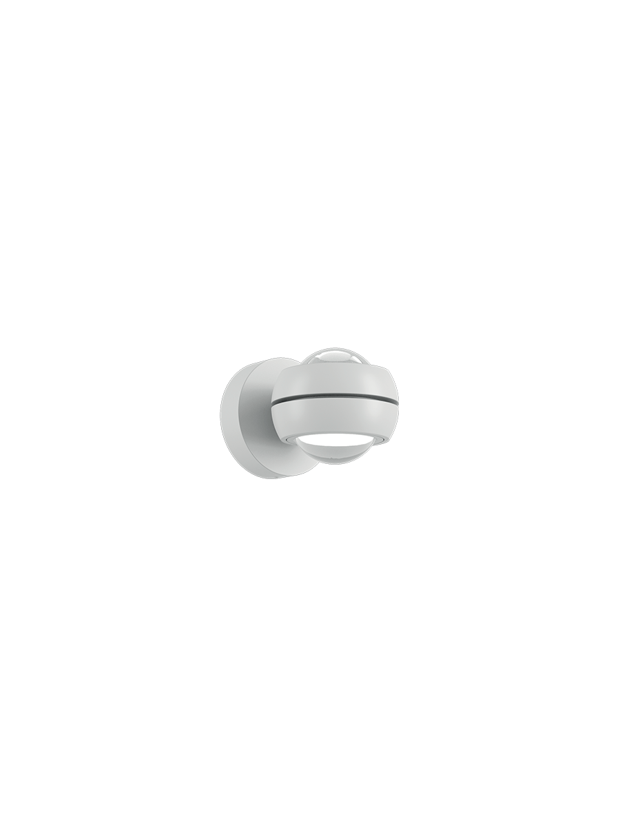 Nautilus Wall Mini