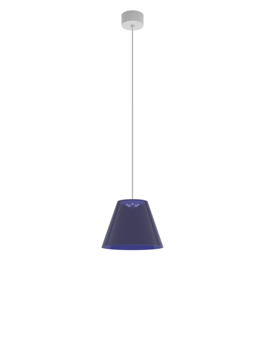 Dina H1