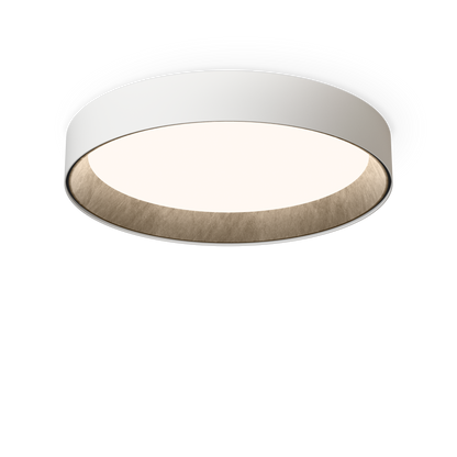 Duo Petra 4873