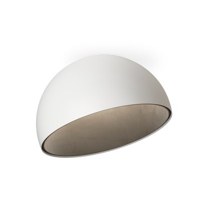 Duo Petra 4881