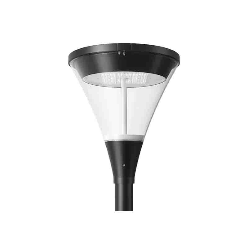CONE direkter